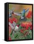 Hummingbirds and Flowers-William Vanderdasson-Framed Stretched Canvas