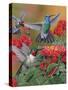 Hummingbirds and Flowers-William Vanderdasson-Stretched Canvas