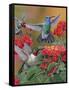 Hummingbirds and Flowers-William Vanderdasson-Framed Stretched Canvas