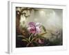 Hummingbirds and Orchids-Martin Johnson Heade-Framed Giclee Print