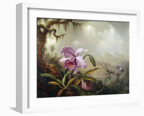 Hummingbirds and Orchids-Martin Johnson Heade-Framed Giclee Print