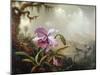 Hummingbirds and Orchids-Martin Johnson Heade-Mounted Giclee Print