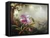 Hummingbirds and Orchids-Martin Johnson Heade-Framed Stretched Canvas