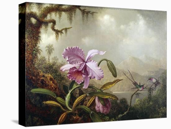 Hummingbirds and Orchids-Martin Johnson Heade-Stretched Canvas