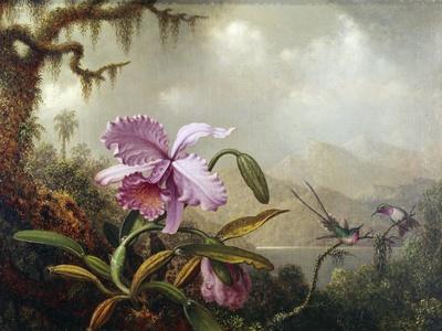 https://imgc.allpostersimages.com/img/posters/hummingbirds-and-orchids_u-L-Q1HAOON0.jpg?artPerspective=n