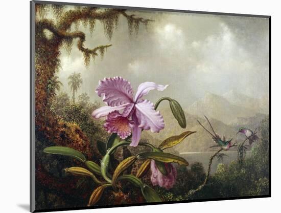 Hummingbirds and Orchids-Martin Johnson Heade-Mounted Giclee Print
