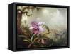 Hummingbirds and Orchids-Martin Johnson Heade-Framed Stretched Canvas