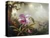Hummingbirds and Orchids-Martin Johnson Heade-Stretched Canvas