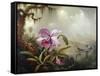 Hummingbirds and Orchids-Martin Johnson Heade-Framed Stretched Canvas