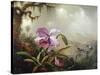 Hummingbirds and Orchids-Martin Johnson Heade-Stretched Canvas