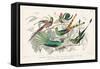 Hummingbirds Chart-Wild Apple Portfolio-Framed Stretched Canvas