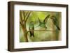 Hummingbirds, Costa Rica-null-Framed Photographic Print