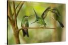Stretched Canvas