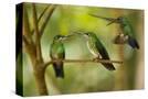 Stretched Canvas