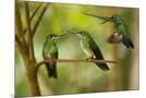 Wood Mount