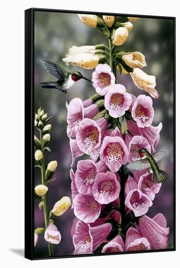 Hummingbirds - Foxgloves-William Vanderdasson-Framed Stretched Canvas