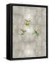 Hummingbirds I-Tina Blakely-Framed Stretched Canvas