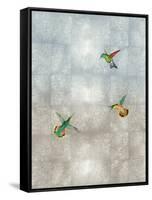 Hummingbirds II-Tina Blakely-Framed Stretched Canvas