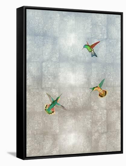 Hummingbirds II-Tina Blakely-Framed Stretched Canvas