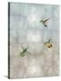 Hummingbirds II-Tina Blakely-Stretched Canvas