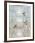 Hummingbirds II-Tina Blakely-Framed Art Print