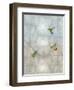 Hummingbirds II-Tina Blakely-Framed Art Print