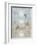 Hummingbirds II-Tina Blakely-Framed Art Print