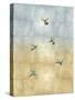 Hummingbirds in Flight II-Tina Blakely-Stretched Canvas