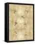 Hummingbirds on Gold III-Tina Blakely-Framed Stretched Canvas