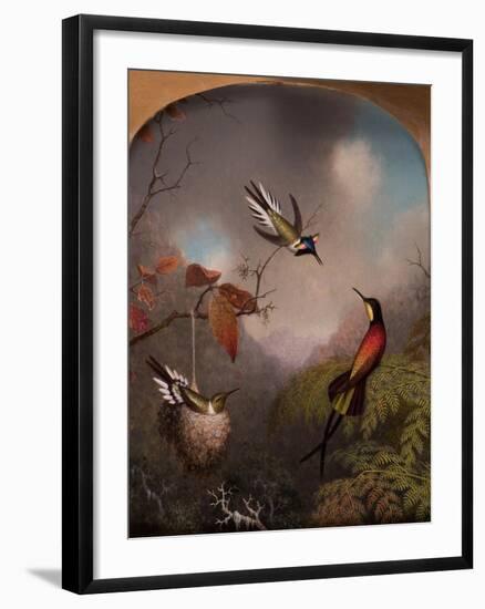 Hummingbirds: Two 'Sungems' and a 'Crimson Topaz', 1866-Martin Johnson Heade-Framed Giclee Print