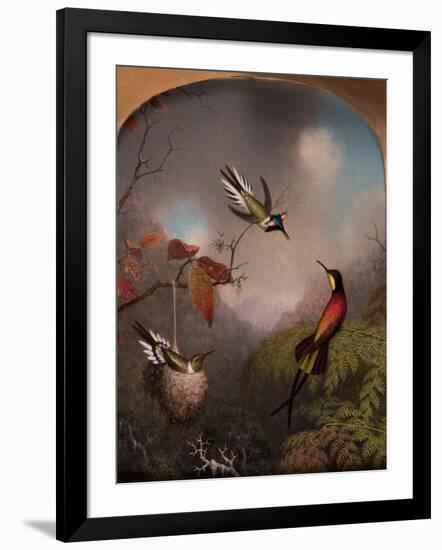 Hummingbirds: Two 'Sungems' and a 'Crimson Topaz', 1866-Martin Johnson Heade-Framed Giclee Print