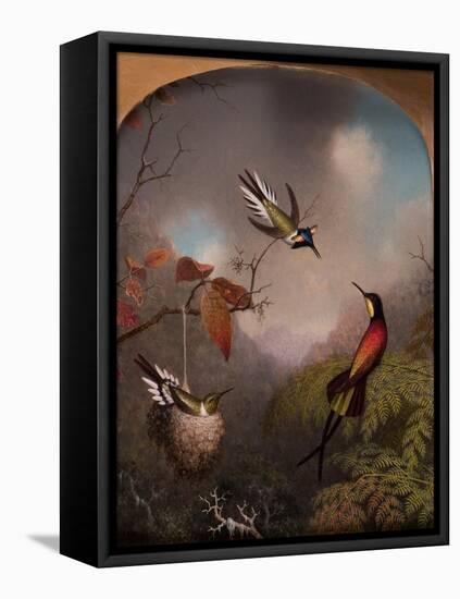 Hummingbirds: Two 'Sungems' and a 'Crimson Topaz', 1866-Martin Johnson Heade-Framed Stretched Canvas