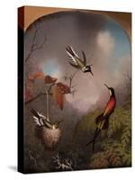 Hummingbirds: Two 'Sungems' and a 'Crimson Topaz', 1866-Martin Johnson Heade-Stretched Canvas