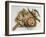 Hummus-Dimitar Lazarov --Framed Photographic Print