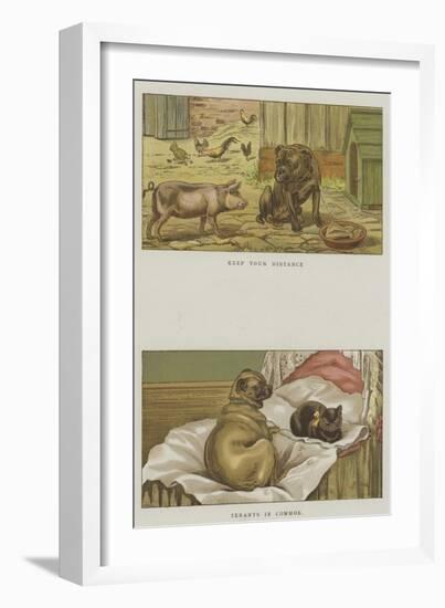 Humorous Dogs-S.t. Dadd-Framed Giclee Print