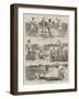 Humours of the Cricket-Field-Alfred Chantrey Corbould-Framed Giclee Print