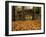 Humpback Covered Bridge, Covington, Virginia, USA-Charles Gurche-Framed Premium Photographic Print