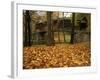 Humpback Covered Bridge, Covington, Virginia, USA-Charles Gurche-Framed Photographic Print