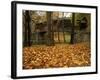 Humpback Covered Bridge, Covington, Virginia, USA-Charles Gurche-Framed Photographic Print