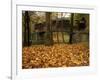 Humpback Covered Bridge, Covington, Virginia, USA-Charles Gurche-Framed Photographic Print