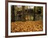 Humpback Covered Bridge, Covington, Virginia, USA-Charles Gurche-Framed Photographic Print