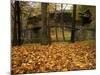 Humpback Covered Bridge, Covington, Virginia, USA-Charles Gurche-Mounted Photographic Print