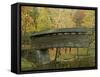 Humpback Covered Bridge, Covington, Virginia, USA-Charles Gurche-Framed Stretched Canvas