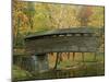 Humpback Covered Bridge, Covington, Virginia, USA-Charles Gurche-Mounted Premium Photographic Print