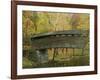 Humpback Covered Bridge, Covington, Virginia, USA-Charles Gurche-Framed Photographic Print