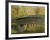 Humpback Covered Bridge, Covington, Virginia, USA-Charles Gurche-Framed Photographic Print