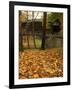 Humpback Covered Bridge, Covington, Virginia, USA-Charles Gurche-Framed Photographic Print