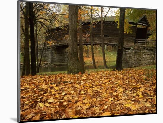 Humpback Covered Bridge, Covington, Virginia, USA-Charles Gurche-Mounted Photographic Print