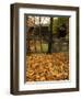 Humpback Covered Bridge, Covington, Virginia, USA-Charles Gurche-Framed Photographic Print