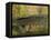 Humpback Covered Bridge, Covington, Virginia, USA-Charles Gurche-Framed Stretched Canvas